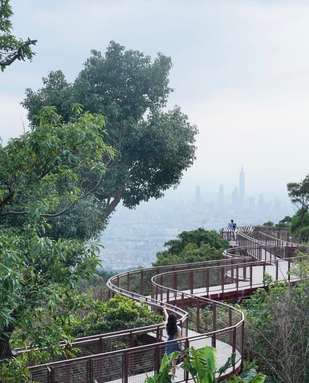 碧山露營場森林營區步道，S型天空步道，免費景點漫步雲端看101