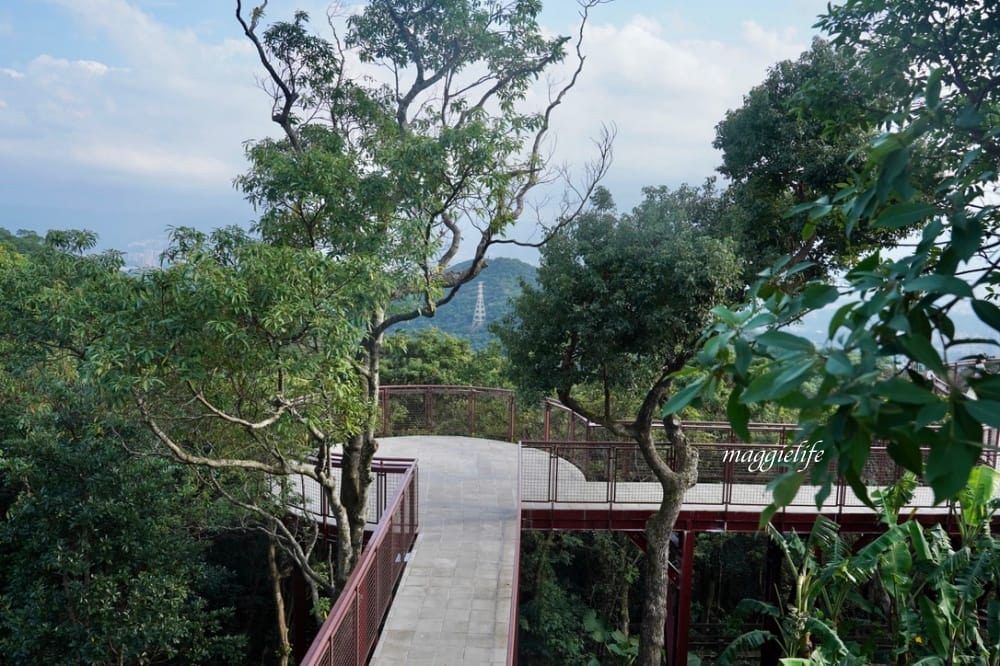 碧山露營場森林營區步道，S型天空步道，免費景點漫步雲端看101
