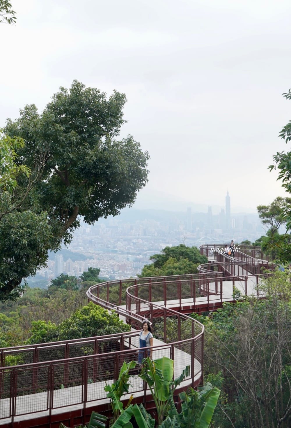 碧山露營場森林營區步道，S型天空步道，免費景點漫步雲端看101