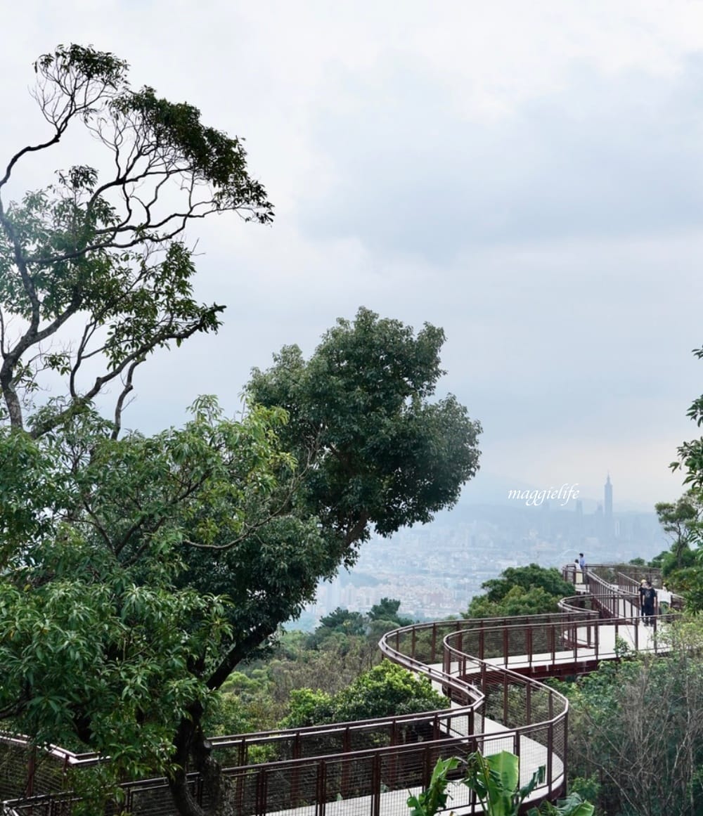 碧山露營場森林營區步道，S型天空步道，免費景點漫步雲端看101