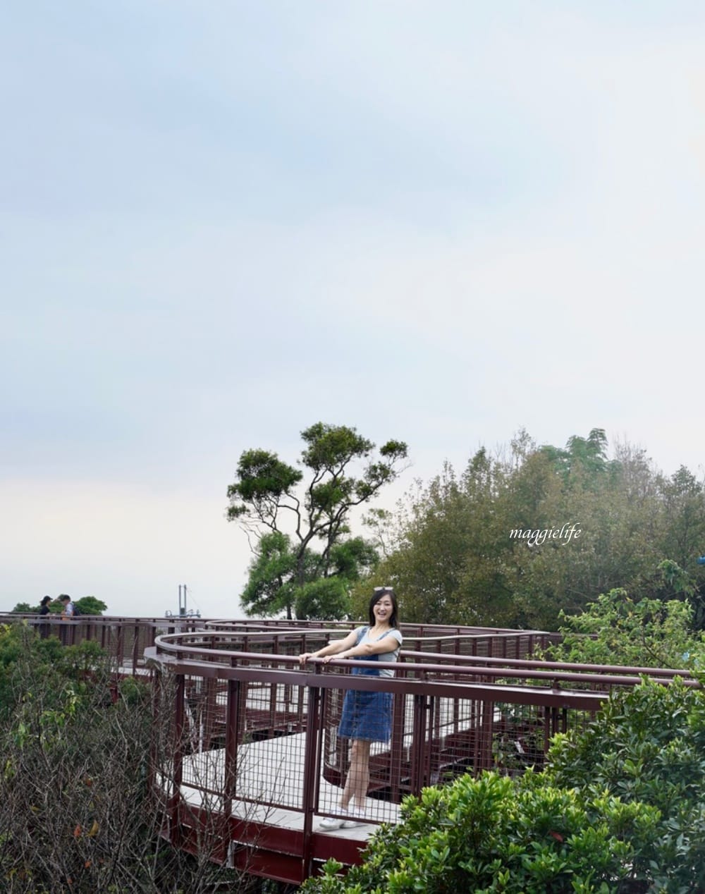 碧山露營場森林營區步道，S型天空步道，免費景點漫步雲端看101