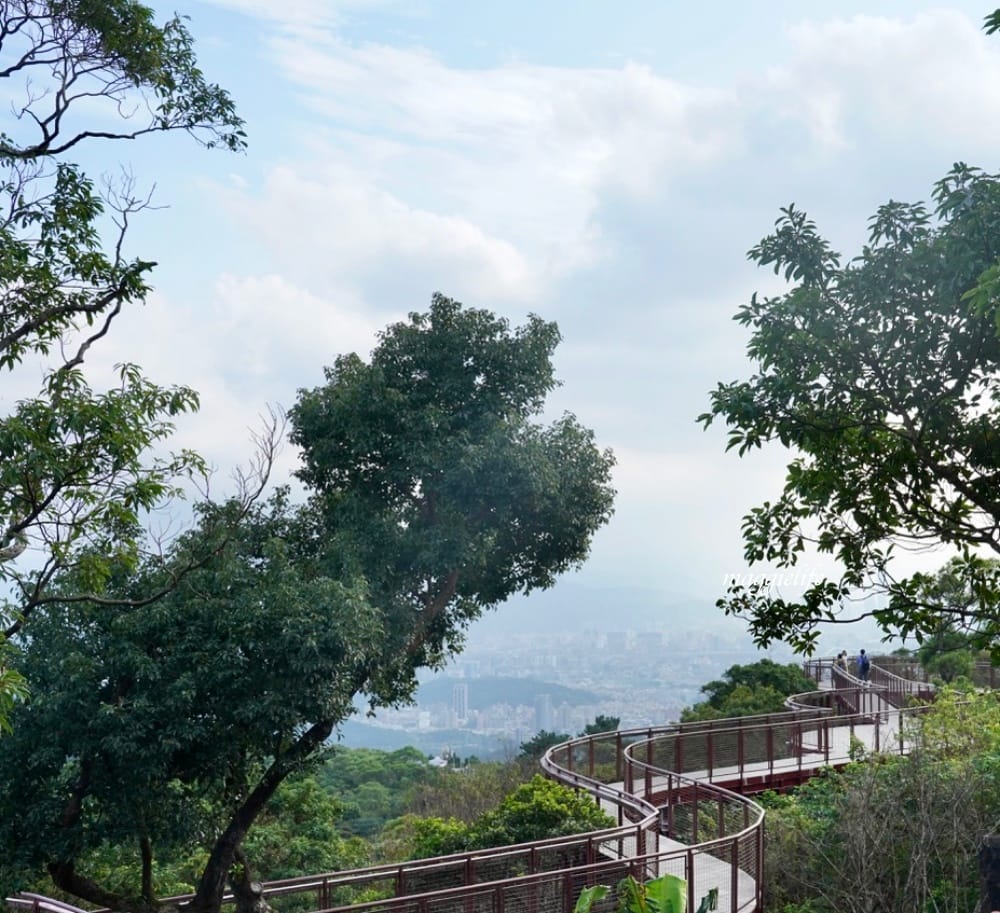 碧山露營場森林營區步道，S型天空步道，免費景點漫步雲端看101