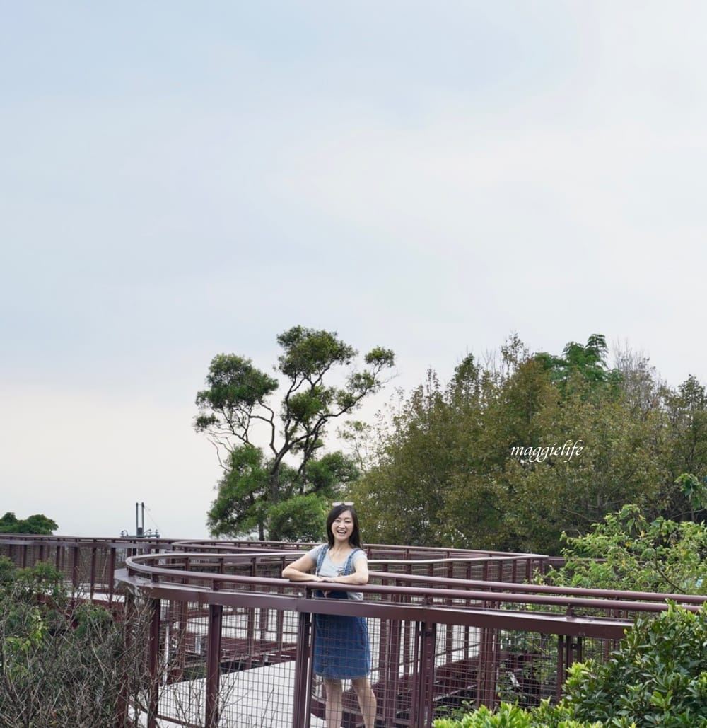碧山露營場森林營區步道，S型天空步道，免費景點漫步雲端看101