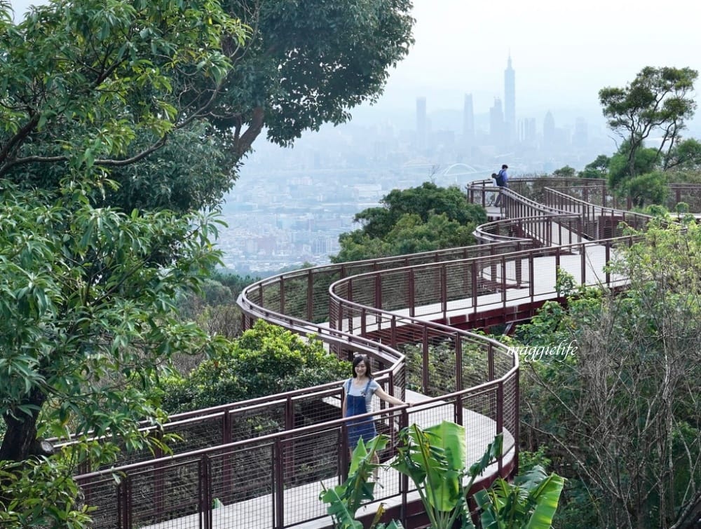 碧山露營場森林營區步道，S型天空步道，免費景點漫步雲端看101