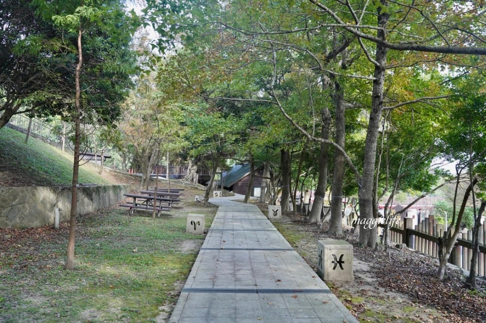 碧山露營場森林營區步道，S型天空步道，免費景點漫步雲端看101