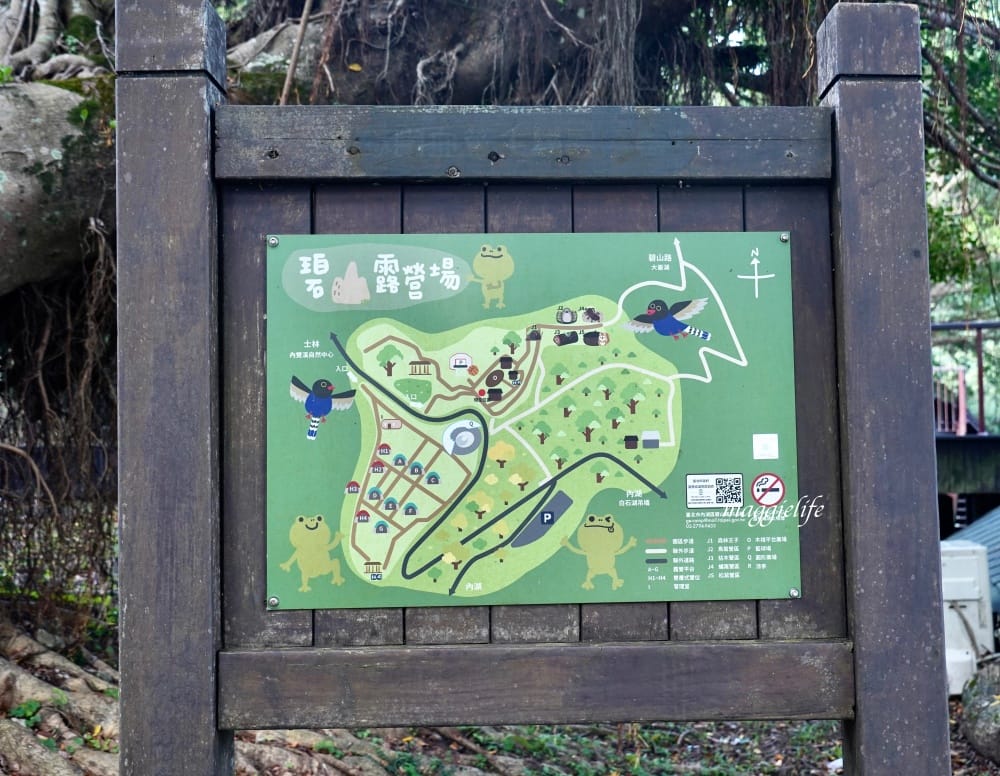 碧山露營場森林營區步道，S型天空步道，免費景點漫步雲端看101