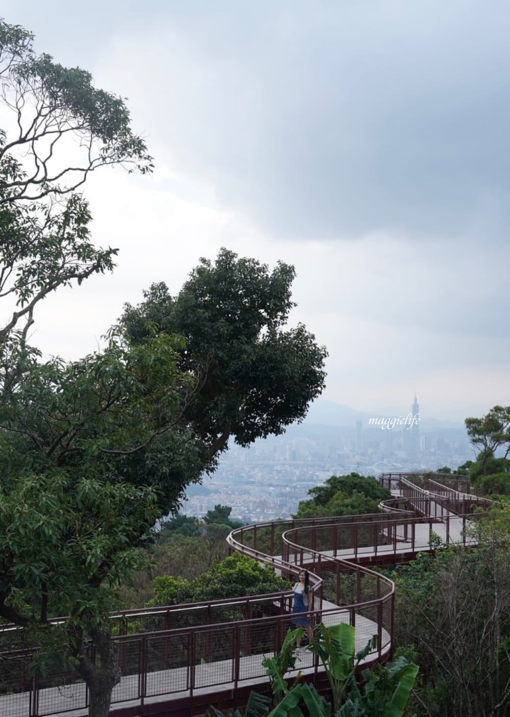 碧山露營場森林營區步道，S型天空步道，免費景點漫步雲端看101