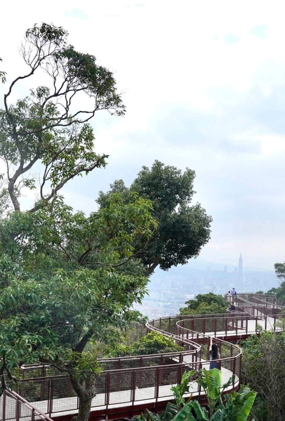 碧山露營場森林營區步道，S型天空步道，免費景點漫步雲端看101