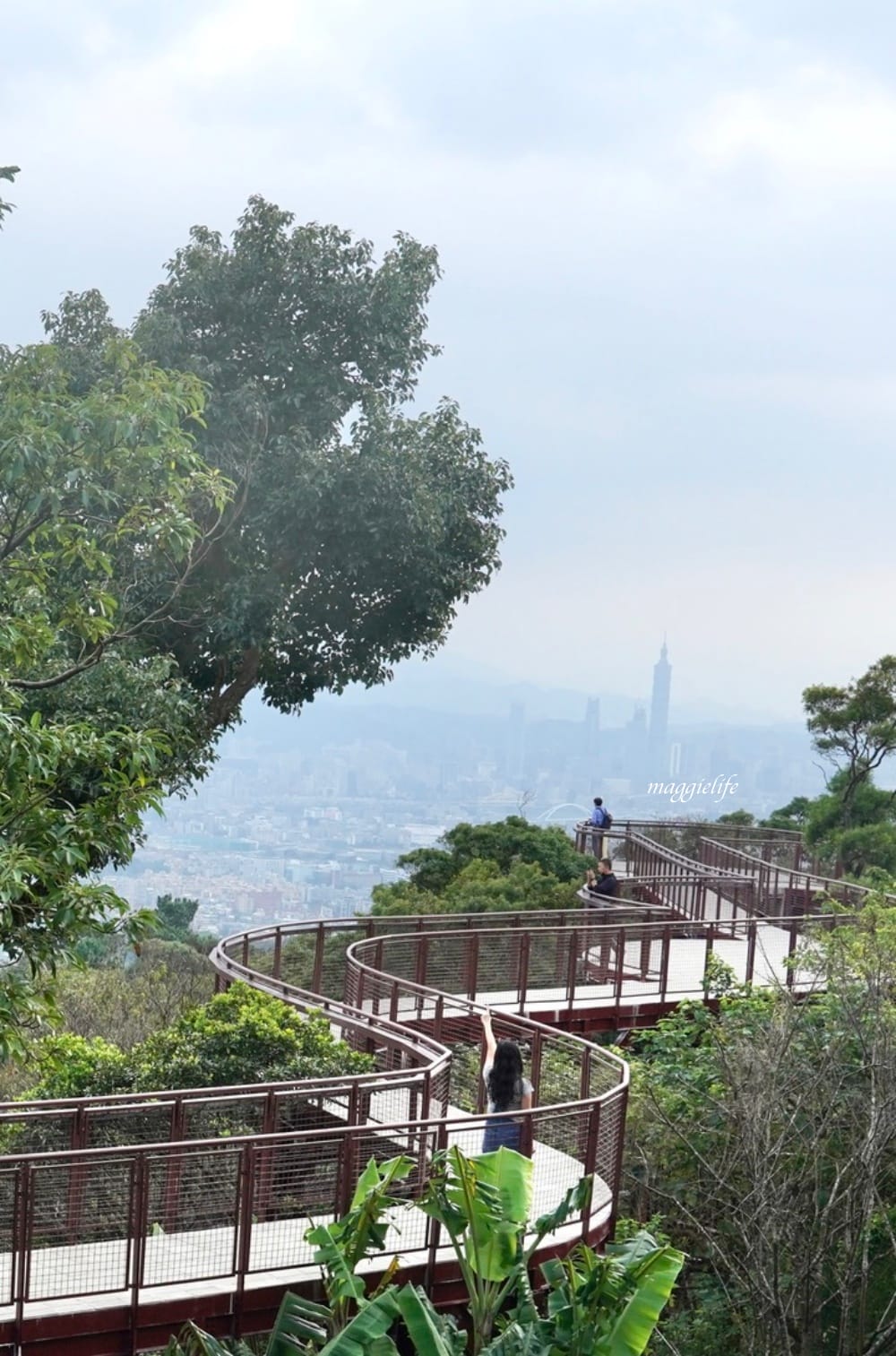 碧山露營場森林營區步道，S型天空步道，免費景點漫步雲端看101