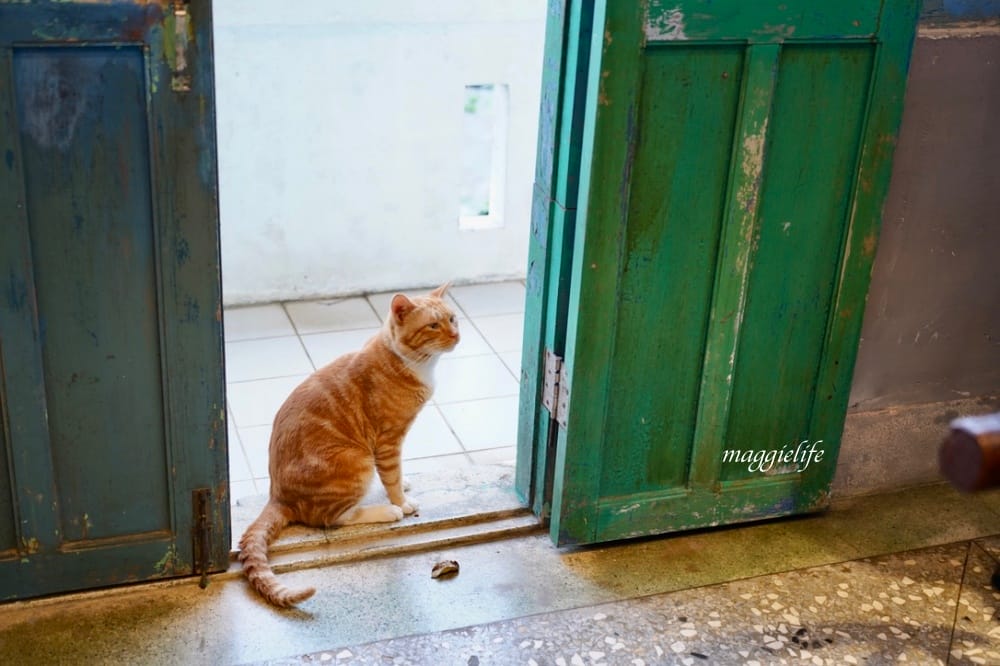 玫瑰山城柑仔店，新北瑞芳老宅景觀咖啡廳，看山看海無敵美景，還有貓出沒！
