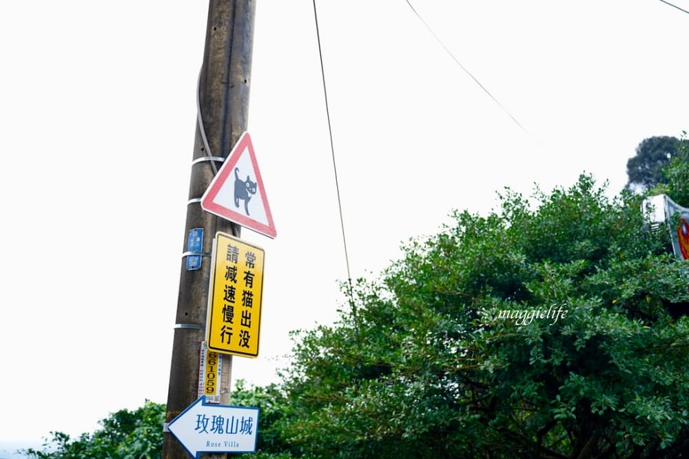 玫瑰山城柑仔店，新北瑞芳老宅景觀咖啡廳，看山看海無敵美景，還有貓出沒！