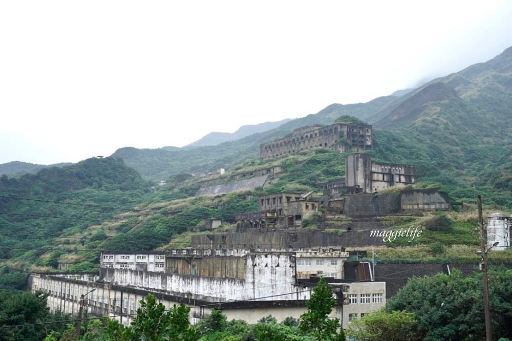 玫瑰山城柑仔店，新北瑞芳老宅景觀咖啡廳，看山看海無敵美景，還有貓出沒！