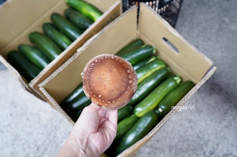 新竹尖石秘境|新竹秀巒溫泉新開幕,新竹尖石秘境在山裡部落泡美人湯,超級療癒! - 第51張圖 新竹尖石秘境|新竹秀巒溫泉新開幕,新竹尖石秘境在山裡部落泡美人湯,超級療癒!