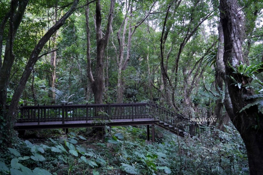新竹尖石景點｜青蛙石天空步道，玻璃天空步道敲愛戀鐘，賽德克巴萊電影場景重現，優惠門票！