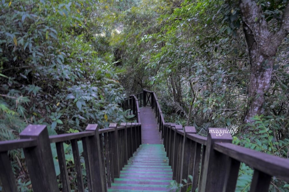 新竹尖石景點｜青蛙石天空步道，玻璃天空步道敲愛戀鐘，賽德克巴萊電影場景重現，優惠門票！