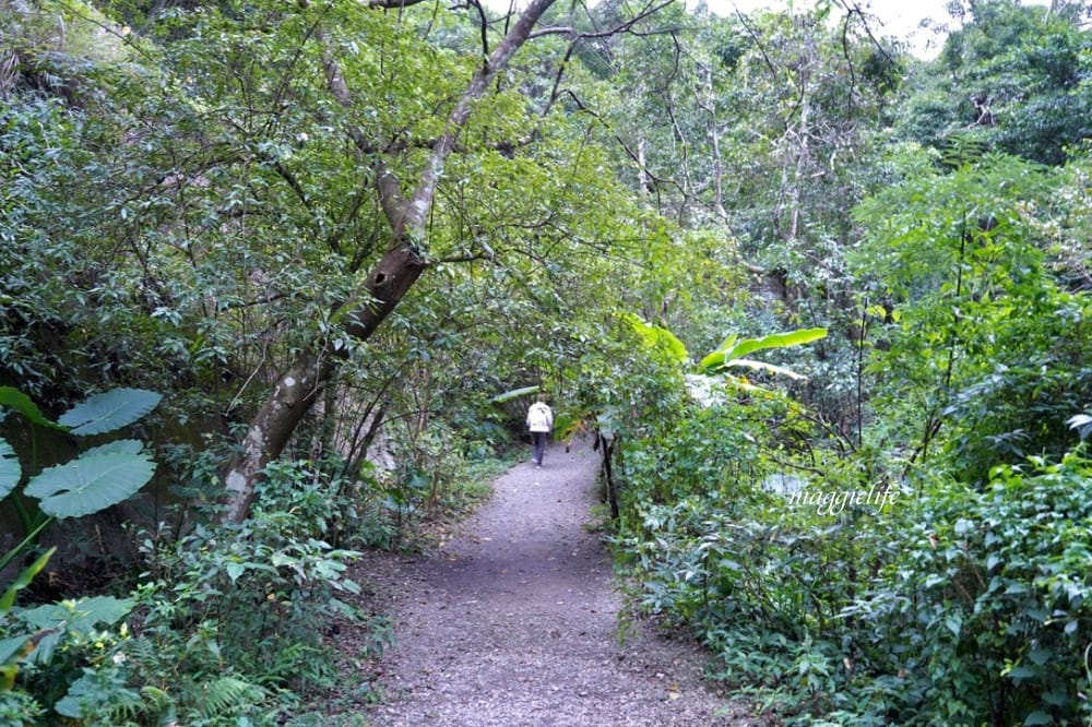 新竹尖石景點|青蛙石天空步道,玻璃天空步道敲愛戀鐘,賽德克巴萊電影場景重現,優惠門票! - 第63張圖 新竹尖石景點|青蛙石天空步道,玻璃天空步道敲愛戀鐘,賽德克巴萊電影場景重現,優惠門票!