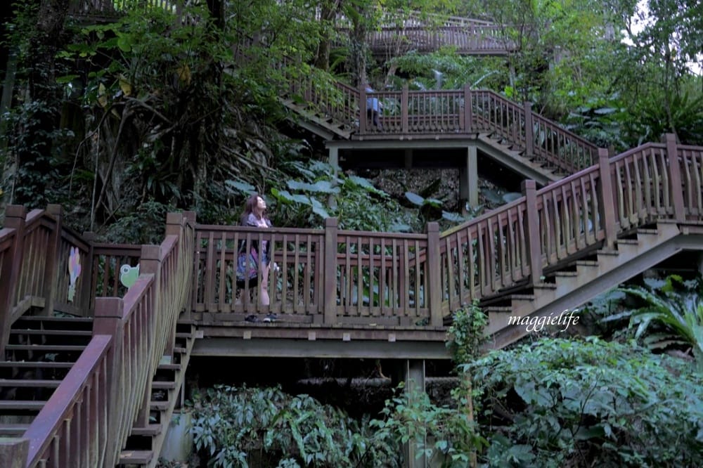 新竹尖石景點｜青蛙石天空步道，玻璃天空步道敲愛戀鐘，賽德克巴萊電影場景重現，優惠門票！
