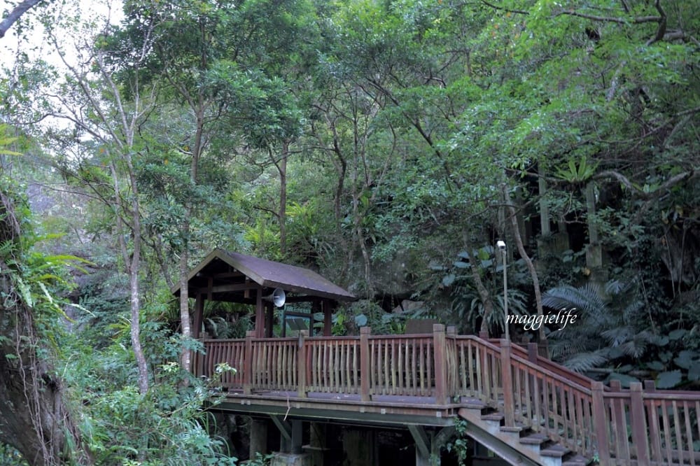 新竹尖石景點｜青蛙石天空步道，玻璃天空步道敲愛戀鐘，賽德克巴萊電影場景重現，優惠門票！