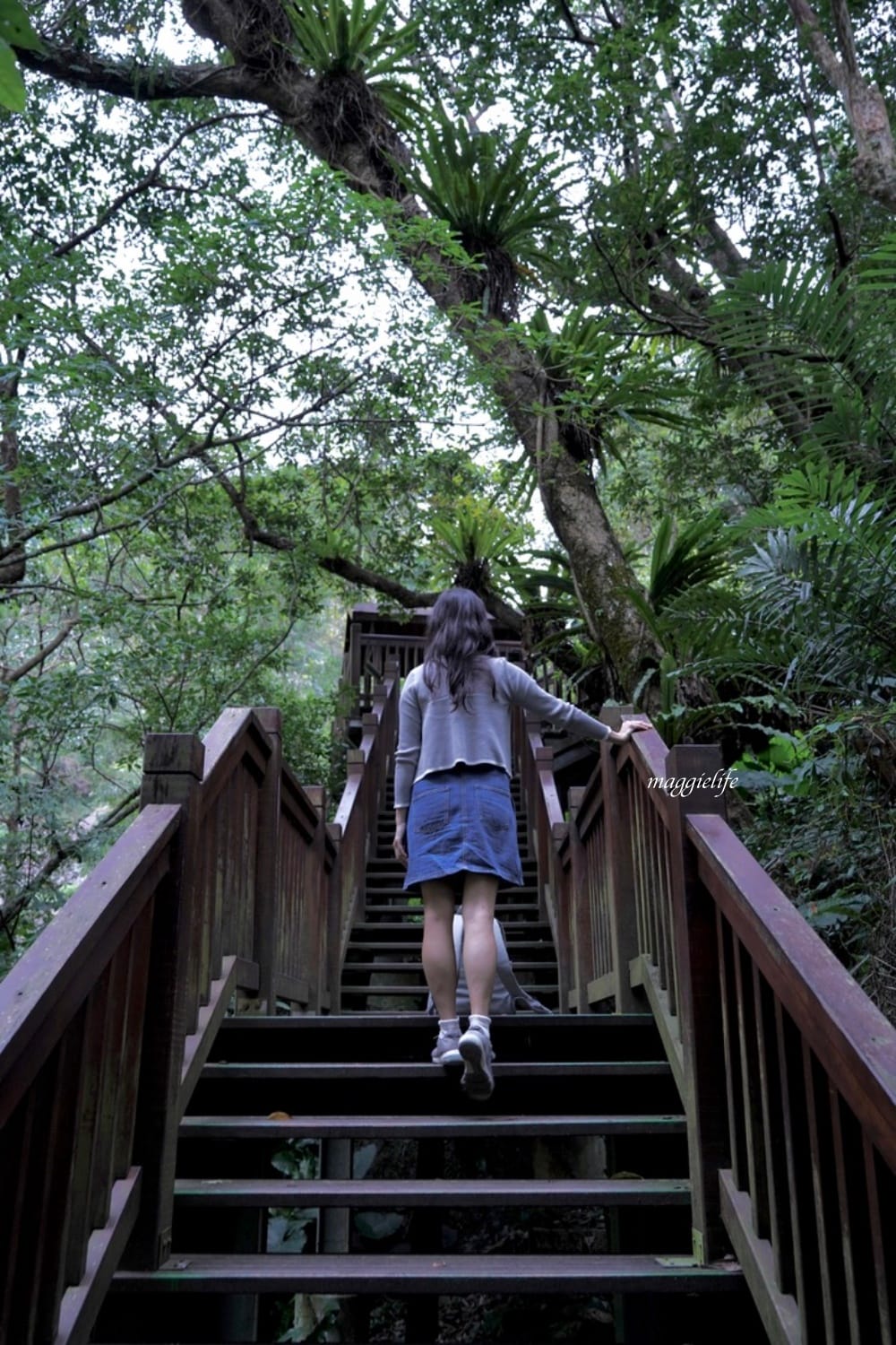 新竹尖石景點｜青蛙石天空步道，玻璃天空步道敲愛戀鐘，賽德克巴萊電影場景重現，優惠門票！