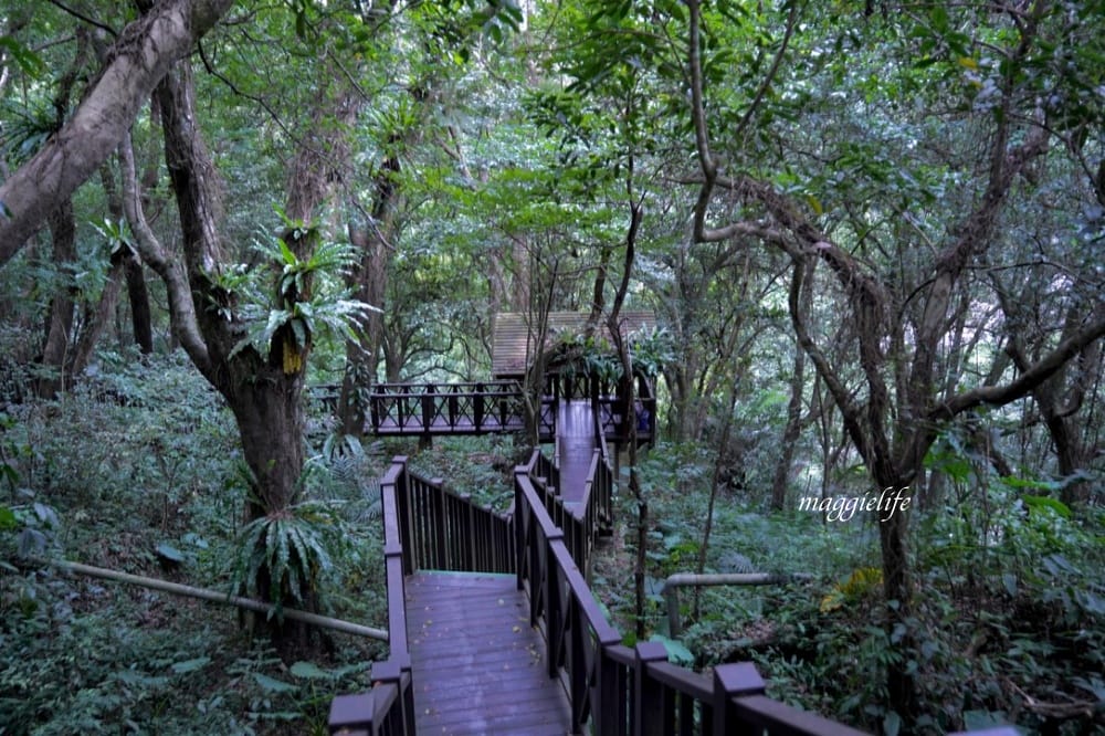新竹尖石景點|青蛙石天空步道,玻璃天空步道敲愛戀鐘,賽德克巴萊電影場景重現,優惠門票! - 第57張圖 新竹尖石景點|青蛙石天空步道,玻璃天空步道敲愛戀鐘,賽德克巴萊電影場景重現,優惠門票!