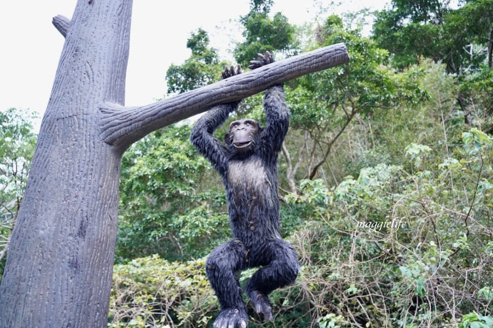 新竹尖石景點|青蛙石天空步道,玻璃天空步道敲愛戀鐘,賽德克巴萊電影場景重現,優惠門票! - 第20張圖 新竹尖石景點|青蛙石天空步道,玻璃天空步道敲愛戀鐘,賽德克巴萊電影場景重現,優惠門票!