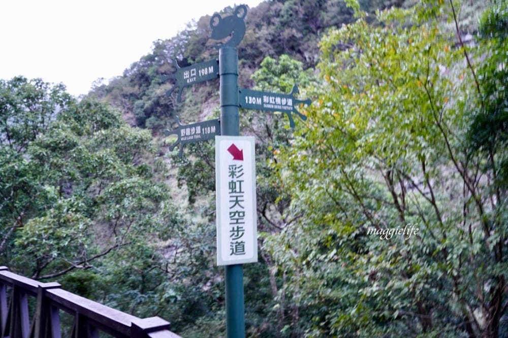 新竹尖石景點｜青蛙石天空步道，玻璃天空步道敲愛戀鐘，賽德克巴萊電影場景重現，優惠門票！