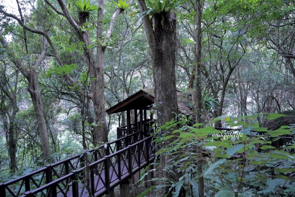 新竹尖石景點｜青蛙石天空步道，玻璃天空步道敲愛戀鐘，賽德克巴萊電影場景重現，優惠門票！