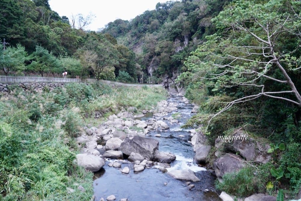 新竹尖石景點｜青蛙石天空步道，玻璃天空步道敲愛戀鐘，賽德克巴萊電影場景重現，優惠門票！