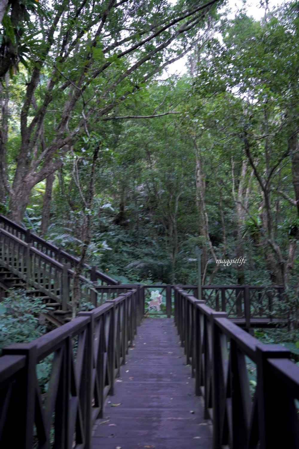 新竹尖石景點｜青蛙石天空步道，玻璃天空步道敲愛戀鐘，賽德克巴萊電影場景重現，優惠門票！