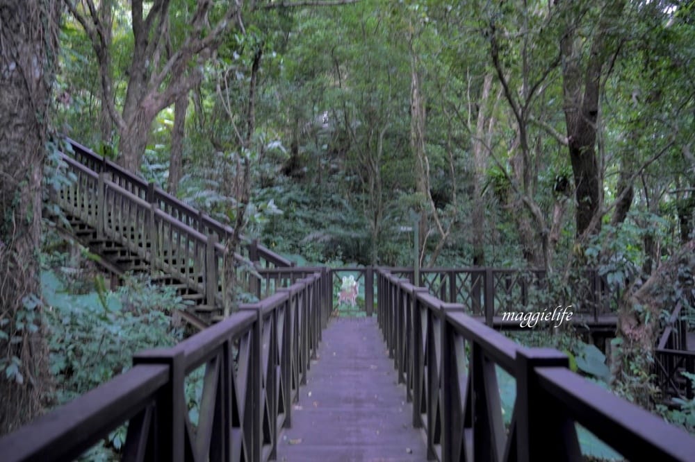 新竹尖石景點｜青蛙石天空步道，玻璃天空步道敲愛戀鐘，賽德克巴萊電影場景重現，優惠門票！