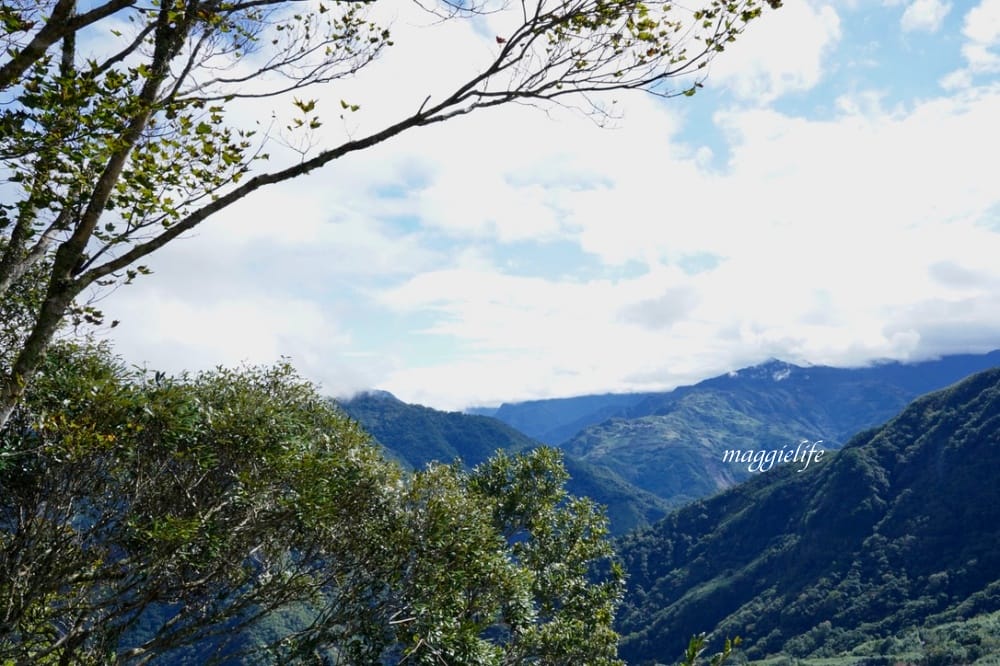 新竹尖石｜魯碧一家人，山巒與雲端之中的景觀咖啡廳民宿，吃原住民餐享受美景！