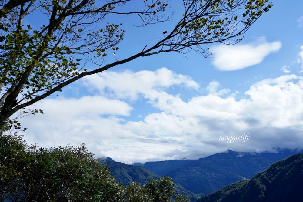 新竹尖石｜魯碧一家人，山巒與雲端之中的景觀咖啡廳民宿，吃原住民餐享受美景！