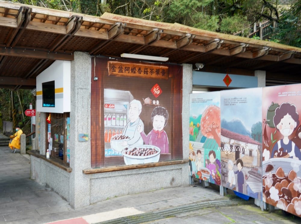 南投日月潭一日遊｜日月潭怎麼玩，陸海空3大玩法怎麼安排，遊湖，騎腳踏車，搭纜車！