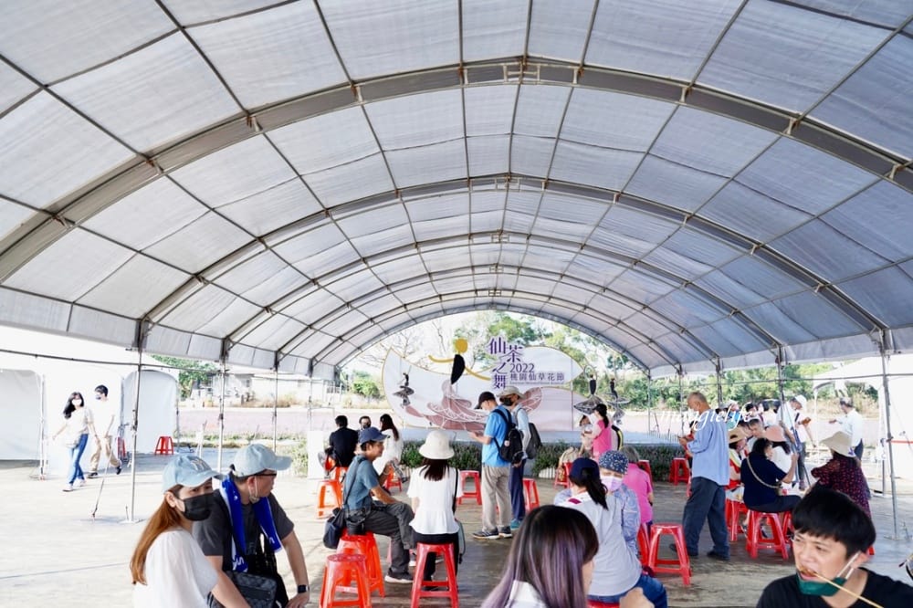 2022桃園楊梅仙草花節，大片紫色花海一秒踏進南法紫色普羅旺斯，超浪漫，免門票