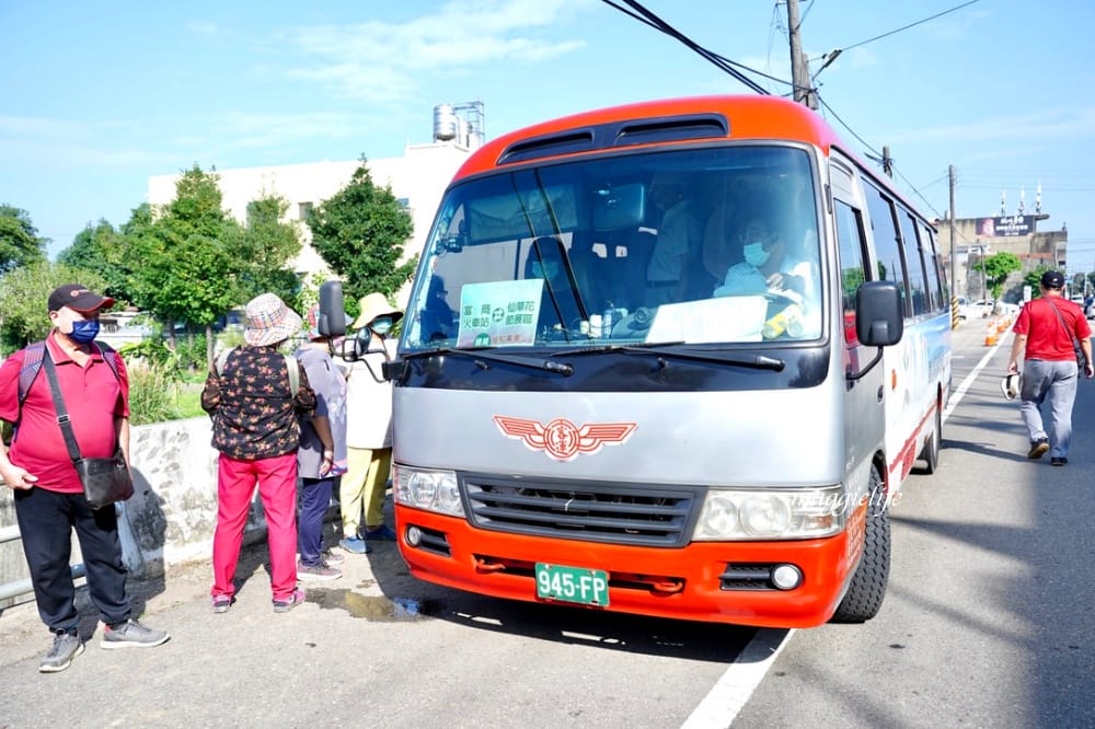 2022桃園楊梅仙草花節，大片紫色花海一秒踏進南法紫色普羅旺斯，超浪漫，免門票