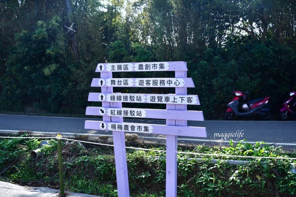 2022桃園楊梅仙草花節，大片紫色花海一秒踏進南法紫色普羅旺斯，超浪漫，免門票