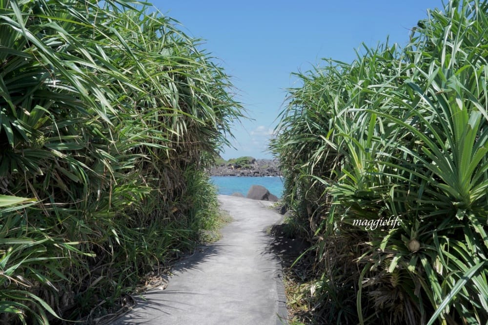 新北石門| 麟山鼻遊憩區,潮間帶玩水抓螃蟹,漫步在濱海步道,超美的海岸風稜石風光 - 第32張圖 新北石門| 麟山鼻遊憩區,潮間帶玩水抓螃蟹,漫步在濱海步道,超美的海岸風稜石風光