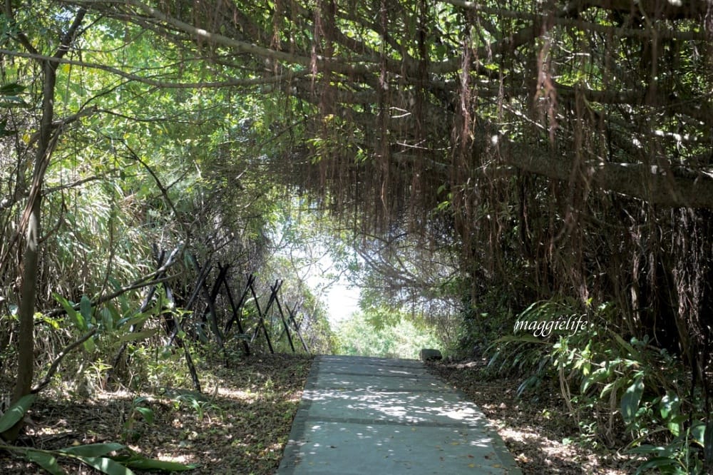 新北石門| 麟山鼻遊憩區,潮間帶玩水抓螃蟹,漫步在濱海步道,超美的海岸風稜石風光 - 第34張圖 新北石門| 麟山鼻遊憩區,潮間帶玩水抓螃蟹,漫步在濱海步道,超美的海岸風稜石風光