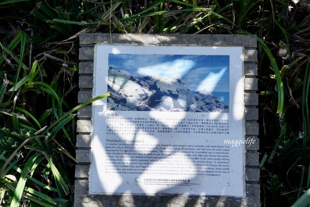 新北石門| 麟山鼻遊憩區,潮間帶玩水抓螃蟹,漫步在濱海步道,超美的海岸風稜石風光 - 第35張圖 新北石門| 麟山鼻遊憩區,潮間帶玩水抓螃蟹,漫步在濱海步道,超美的海岸風稜石風光