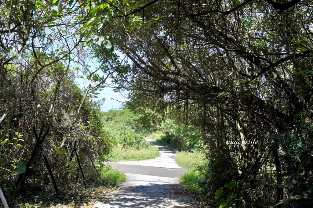 新北石門| 麟山鼻遊憩區,潮間帶玩水抓螃蟹,漫步在濱海步道,超美的海岸風稜石風光 - 第33張圖 新北石門| 麟山鼻遊憩區,潮間帶玩水抓螃蟹,漫步在濱海步道,超美的海岸風稜石風光