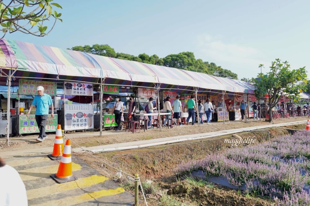 2022桃園楊梅仙草花節，大片紫色花海一秒踏進南法紫色普羅旺斯，超浪漫，免門票