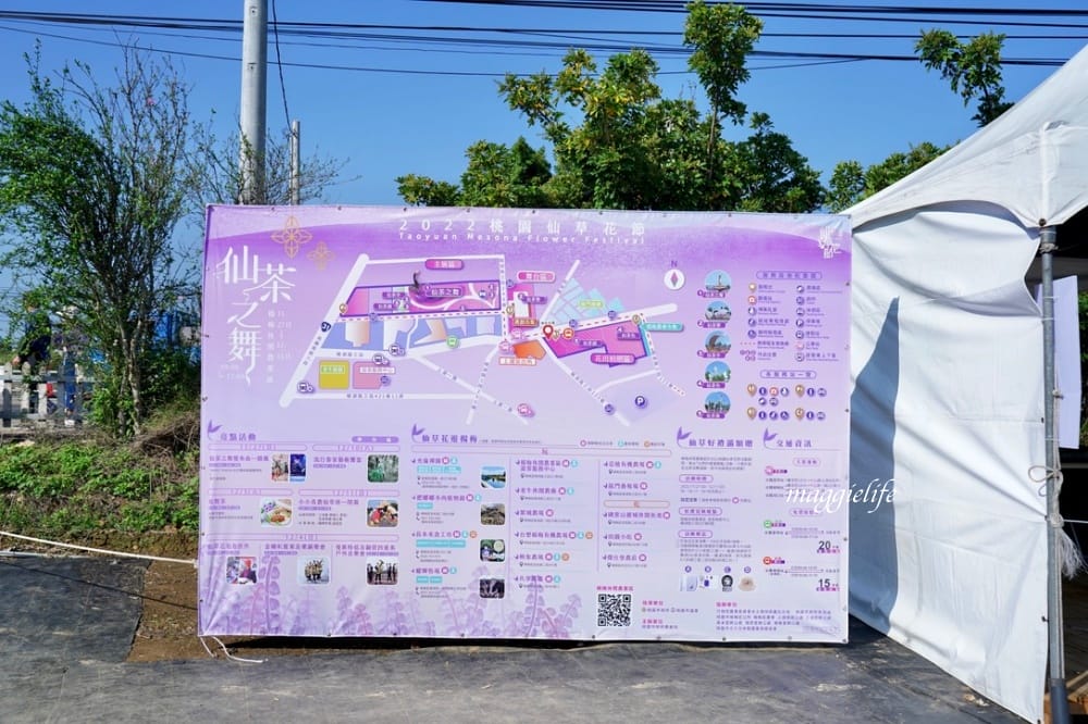 2022桃園楊梅仙草花節，大片紫色花海一秒踏進南法紫色普羅旺斯，超浪漫，免門票