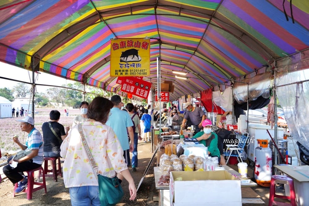 2022桃園楊梅仙草花節，大片紫色花海一秒踏進南法紫色普羅旺斯，超浪漫，免門票