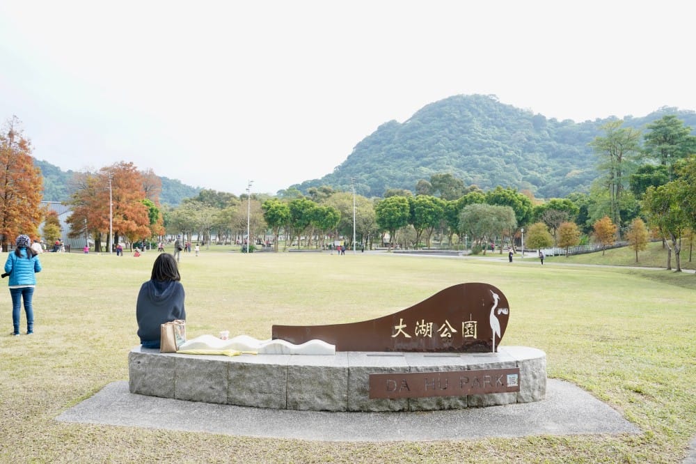 台北｜內湖大湖公園落羽松，野餐親子一日遊，帶毛孩步道散步，觀賞全台最美錦帶橋