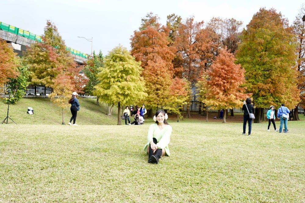 台北｜內湖大湖公園落羽松，野餐親子一日遊，帶毛孩步道散步，觀賞全台最美錦帶橋