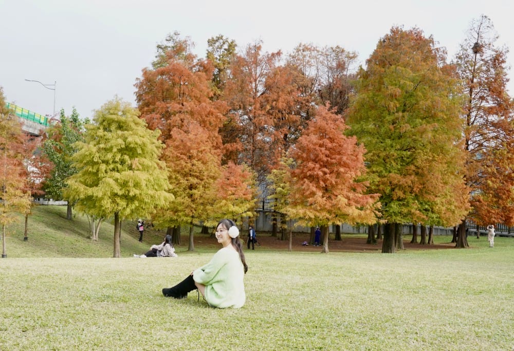 台北｜內湖大湖公園落羽松，野餐親子一日遊，帶毛孩步道散步，觀賞全台最美錦帶橋