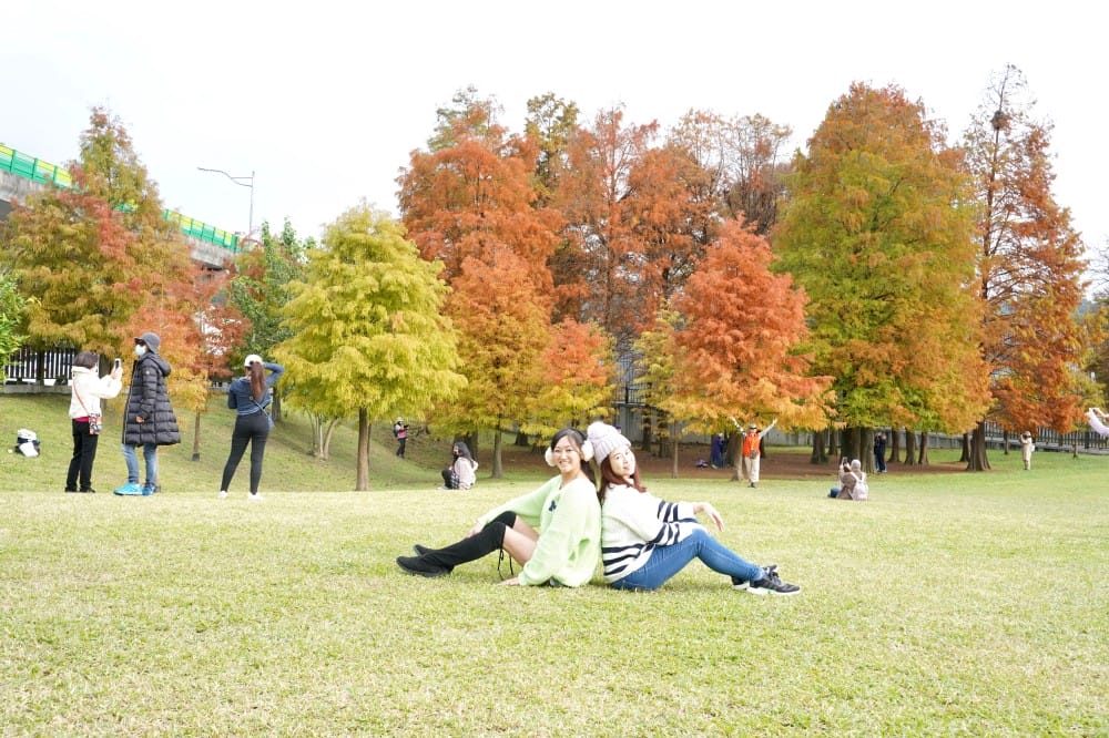 台北｜內湖大湖公園落羽松，野餐親子一日遊，帶毛孩步道散步，觀賞全台最美錦帶橋