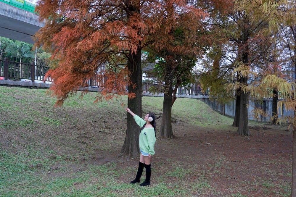 台北｜內湖大湖公園落羽松，野餐親子一日遊，帶毛孩步道散步，觀賞全台最美錦帶橋 @瑪姬幸福過日子