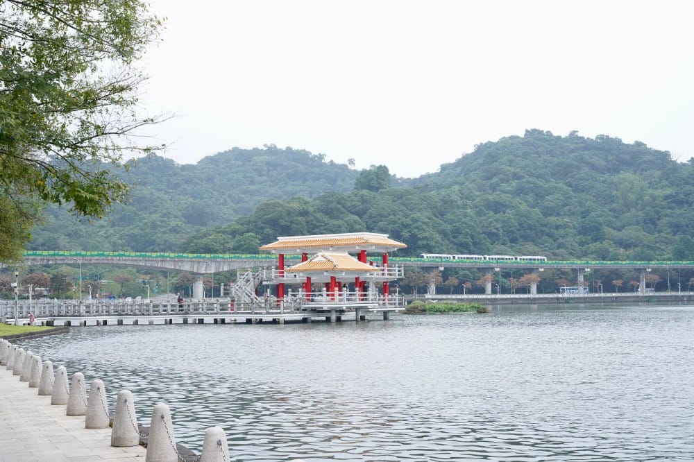台北｜內湖大湖公園落羽松，野餐親子一日遊，帶毛孩步道散步，觀賞全台最美錦帶橋