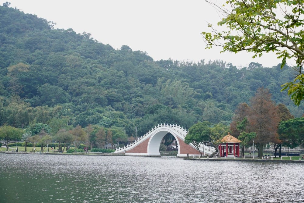 台北｜內湖大湖公園落羽松，野餐親子一日遊，帶毛孩步道散步，觀賞全台最美錦帶橋
